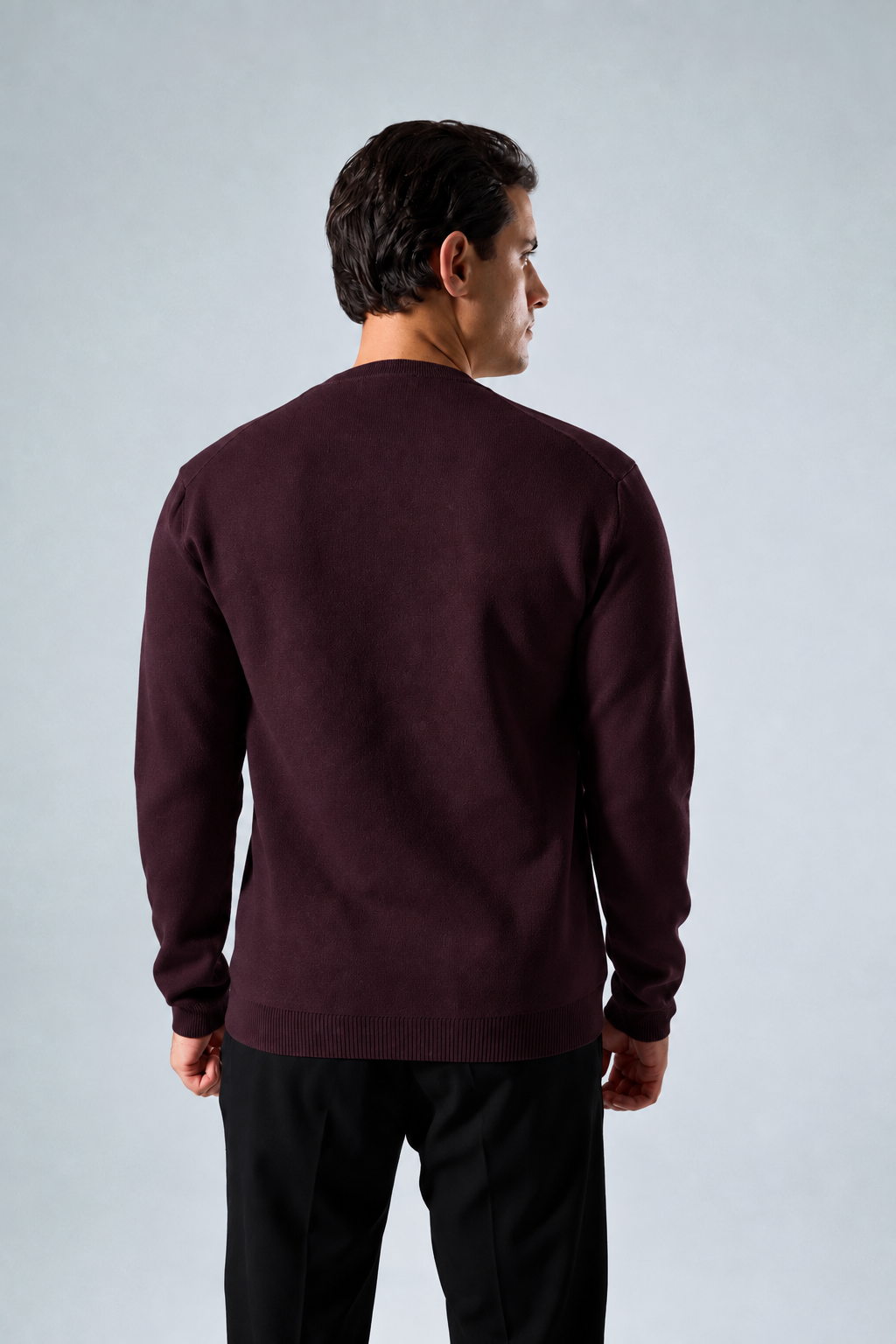 Massimo long sleeve Henley shirt in plum