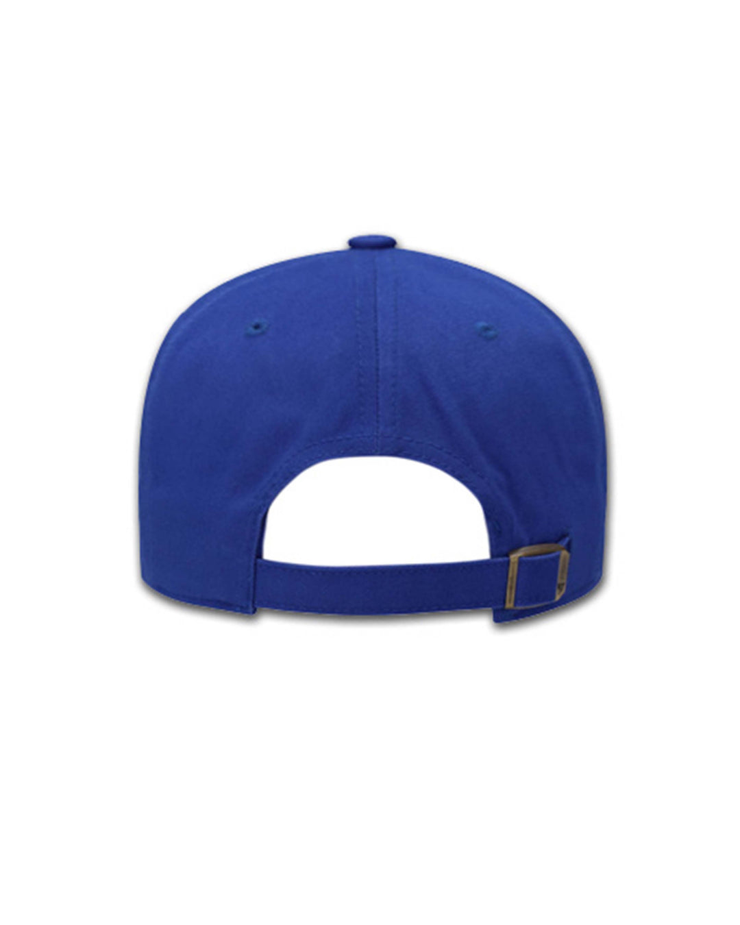 LA big logo strapback cap in light blue