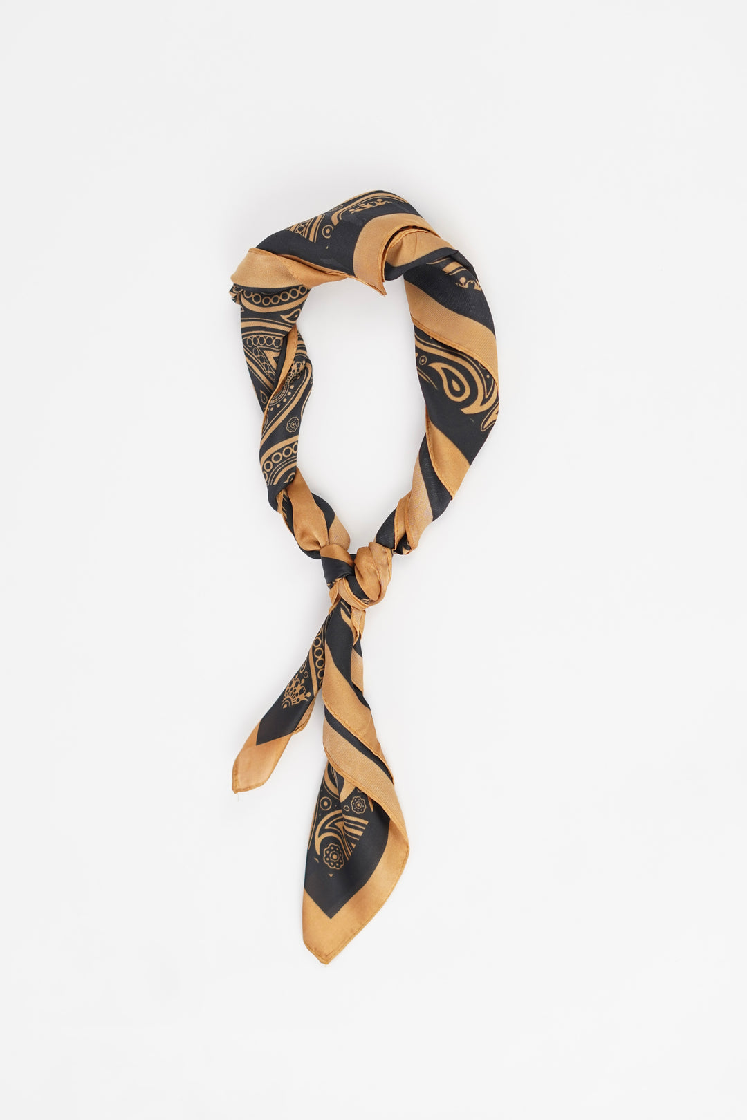 Brown Edge Paisley Print Silk Scarf