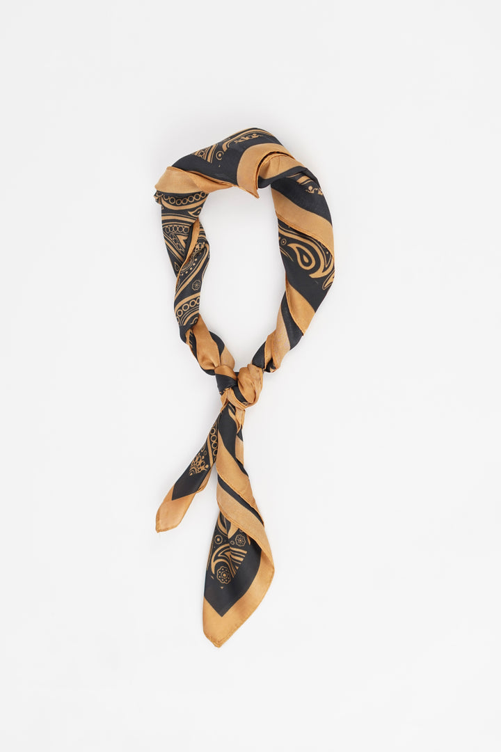 Brown Edge Paisley Print Silk Scarf