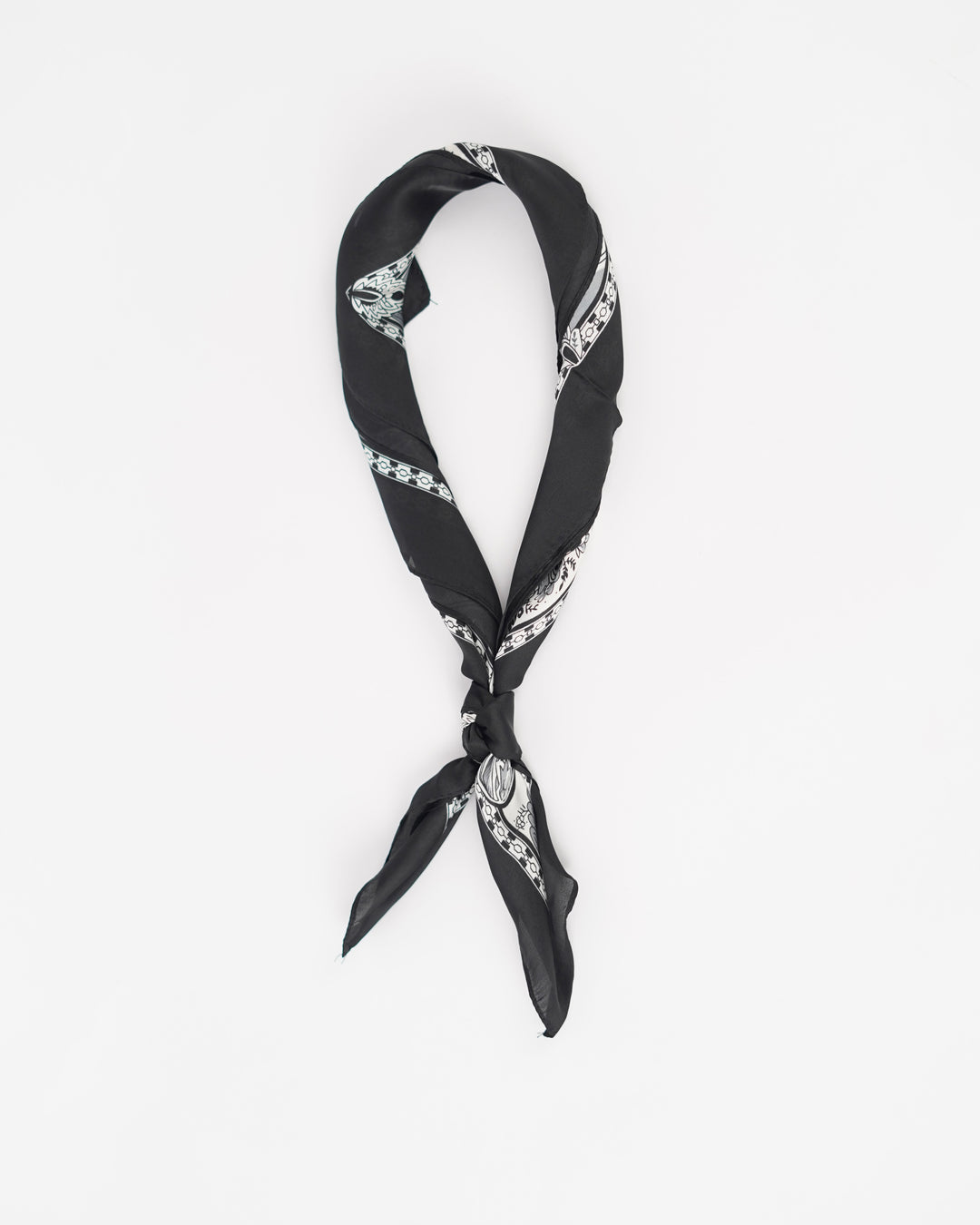 Black Swan Paisley Print Silk Scarf
