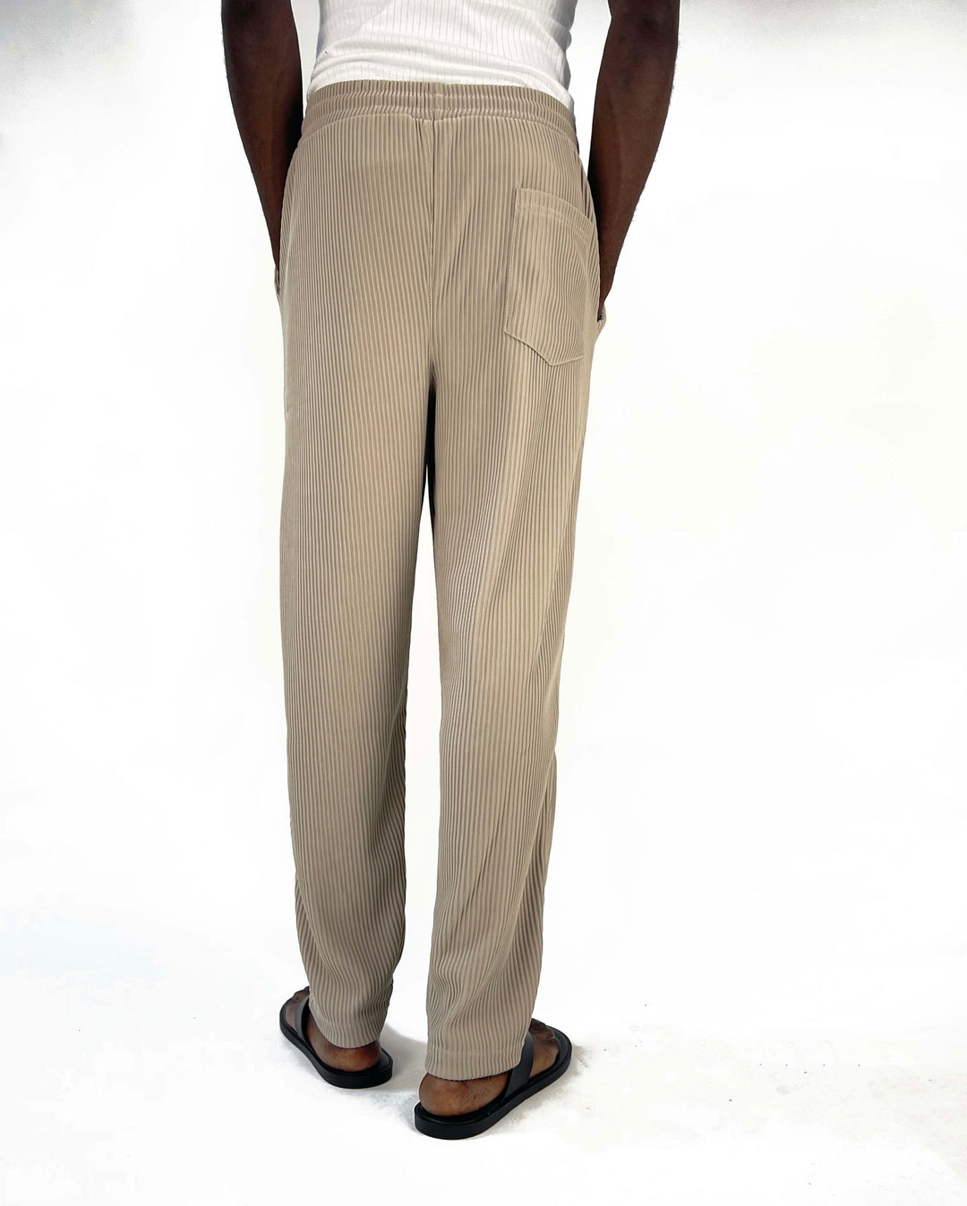 Spruce pleated pants with toggle drawstring in beige
