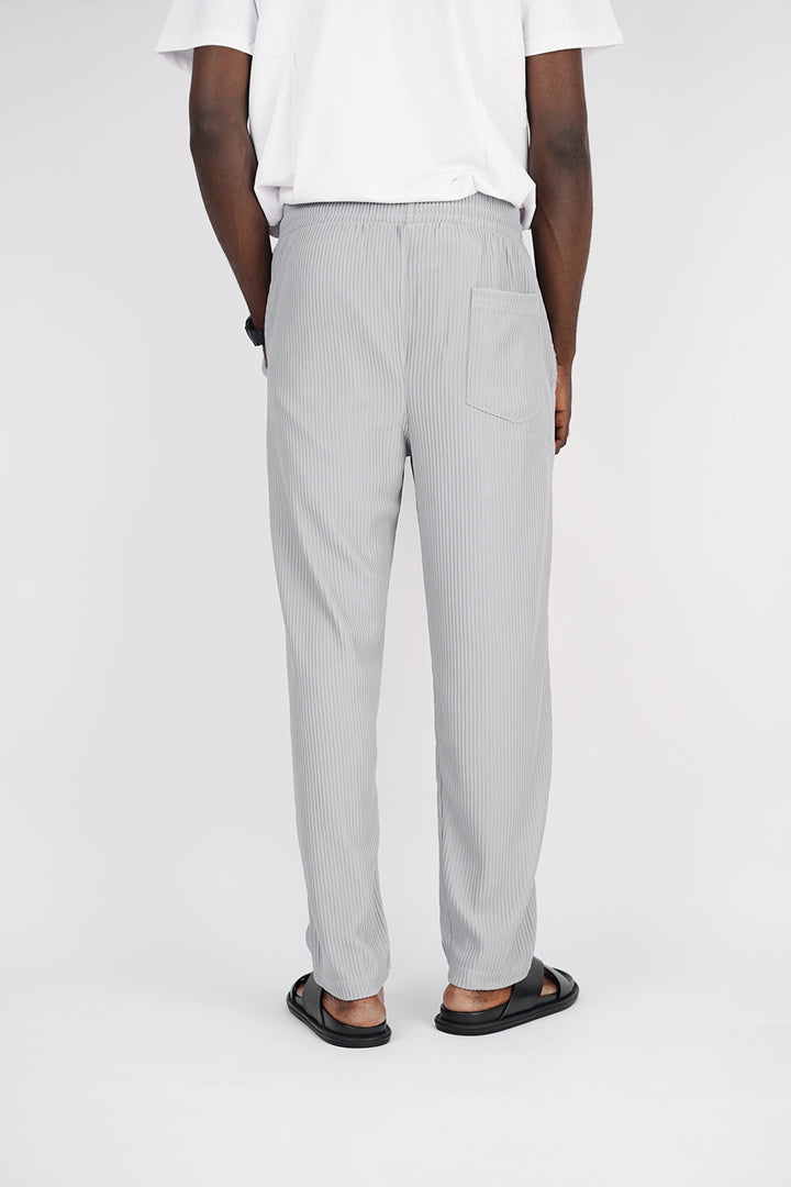 Spruce pleated pants with toggle drawstring in gray