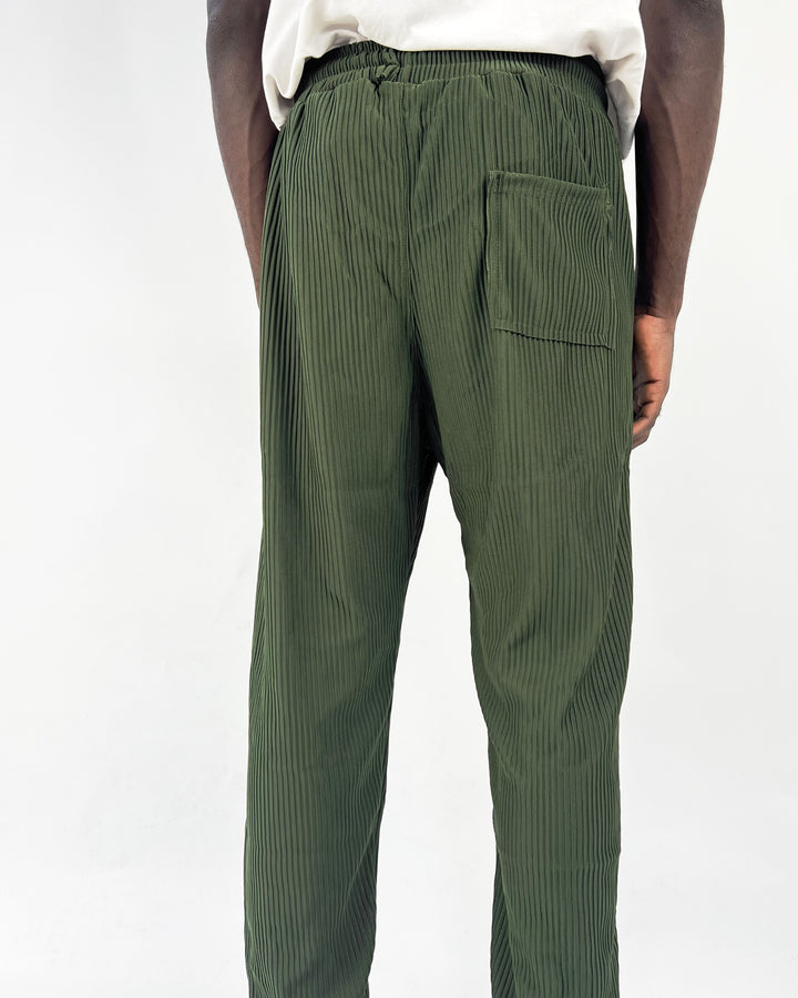 A&N pleated pants in green