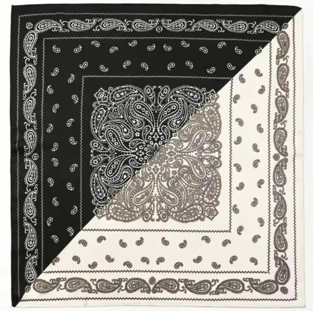 Double Print Paisley Print Silk Scarf