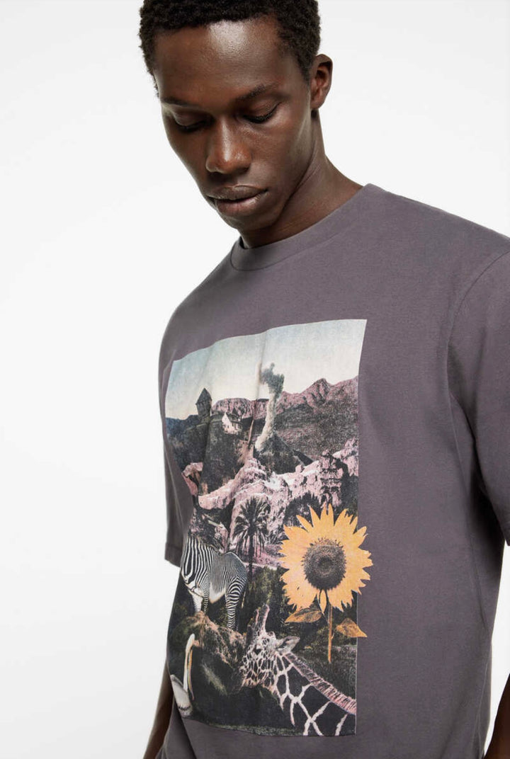 Springfield photo print t-shirt grey