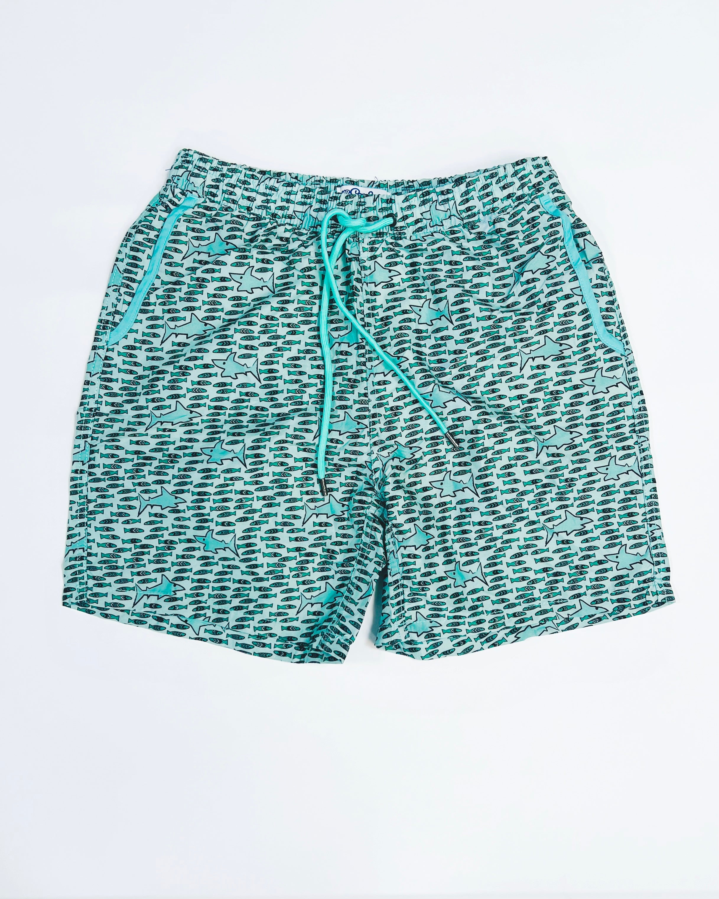 Mr Swim Fish print swim shorts in green – Garmisland