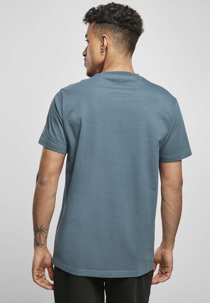 STARTER ESSENTIAL JERSEY T-SHIRT IN  TEAL