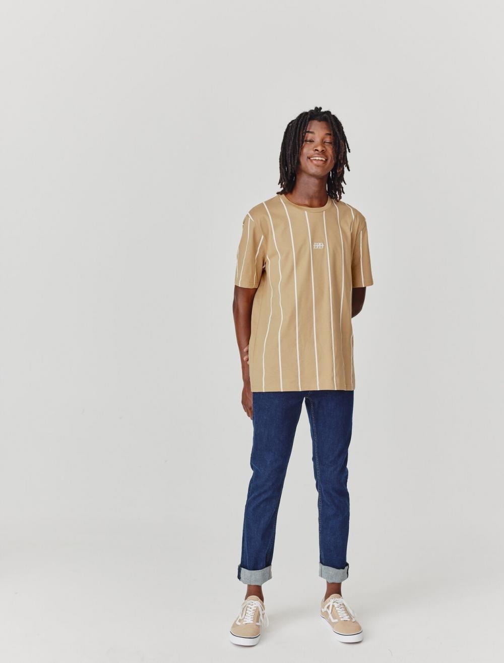 Bizzbee BZB pinstripe polo t-shirt in brown