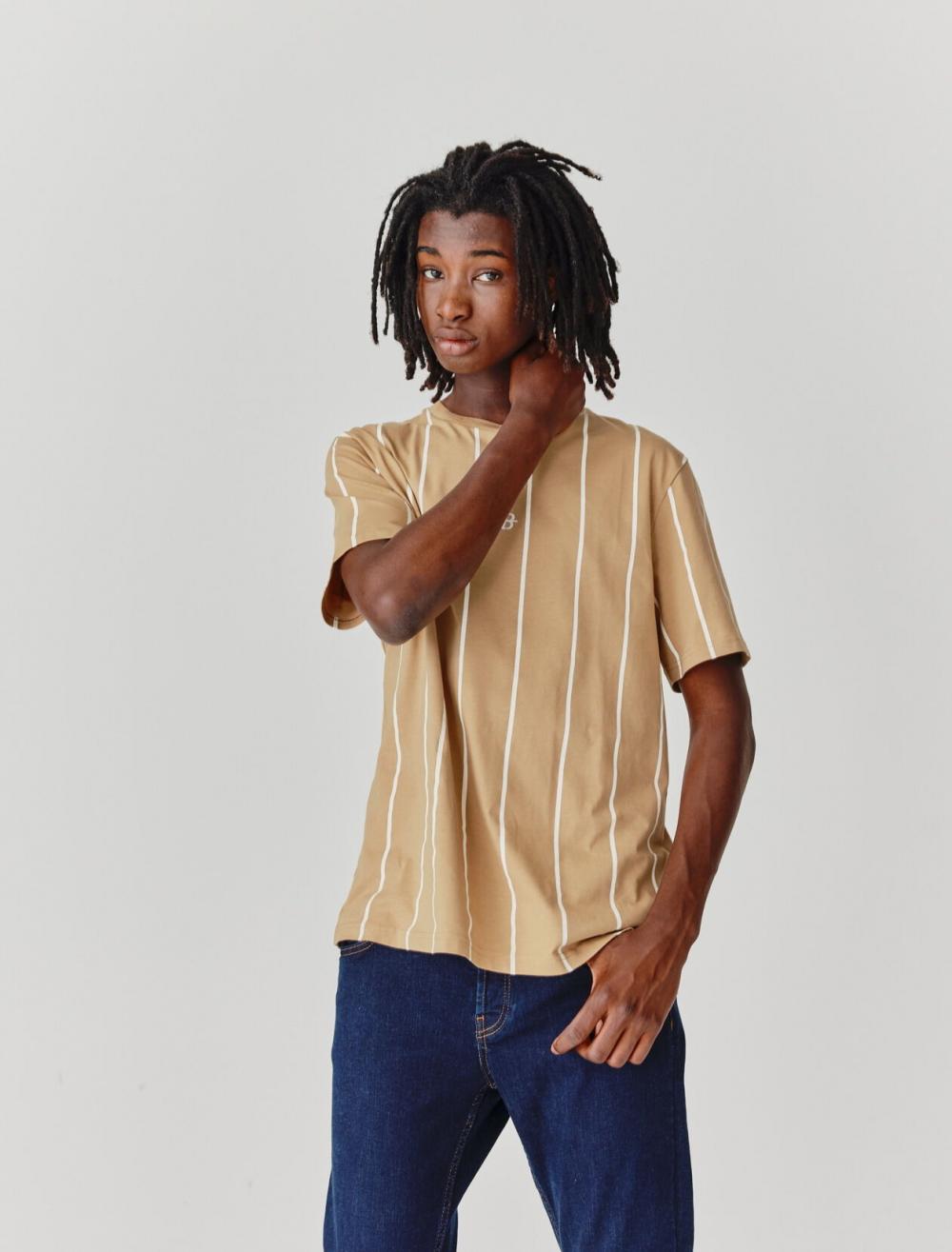 Bizzbee BZB pinstripe polo t-shirt in brown