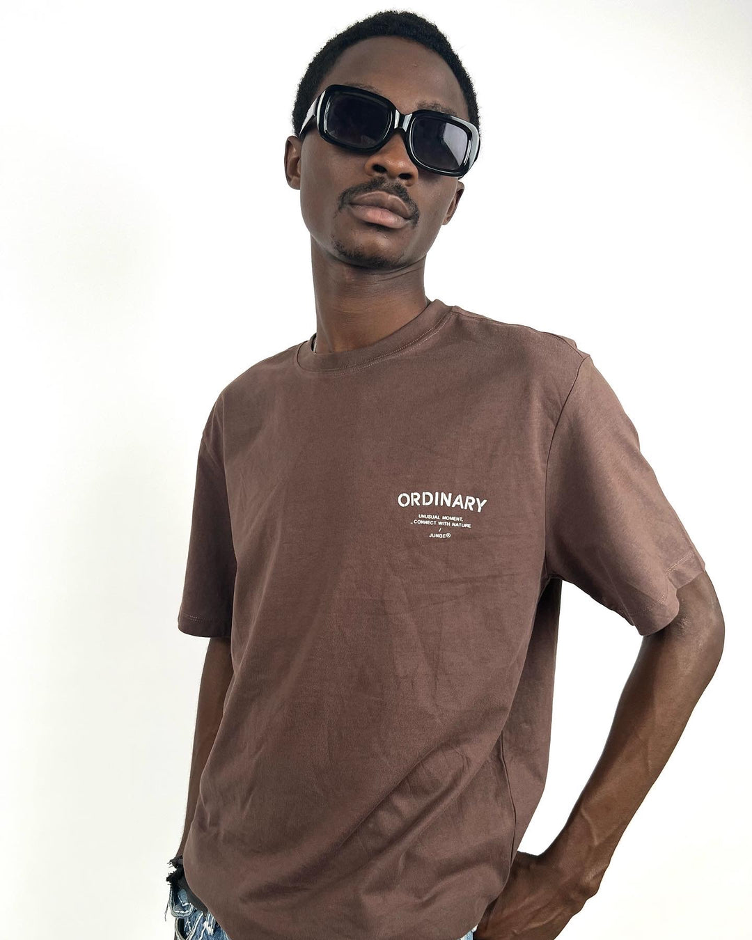 Ordinary Brand  Print T-shirt in brown